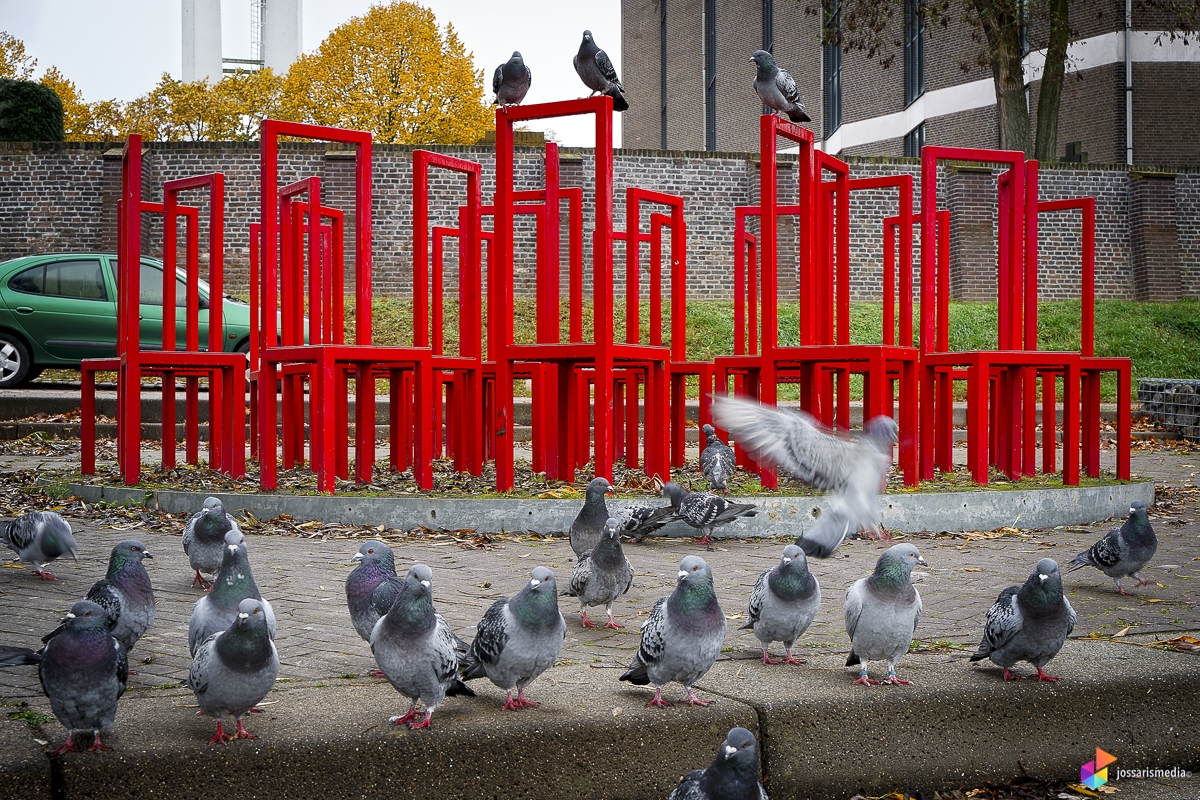 Venlo | "Rode Stoelen" langs de Maas in Blerick