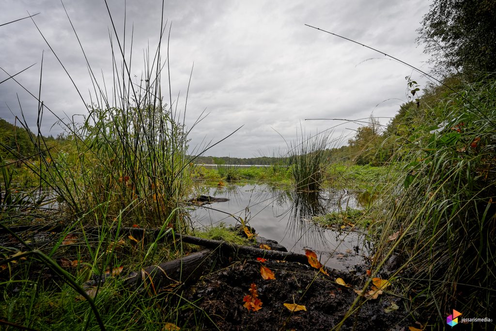 Venlo | De Venkoelen op het Zwart Water