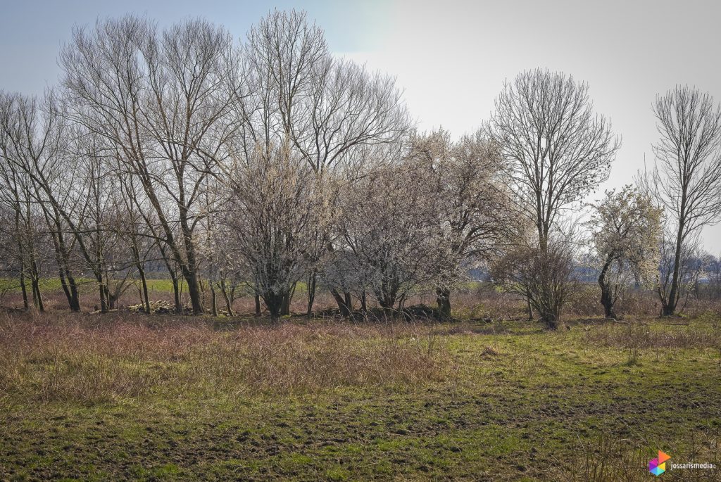 Venlo | De lente is in aantocht