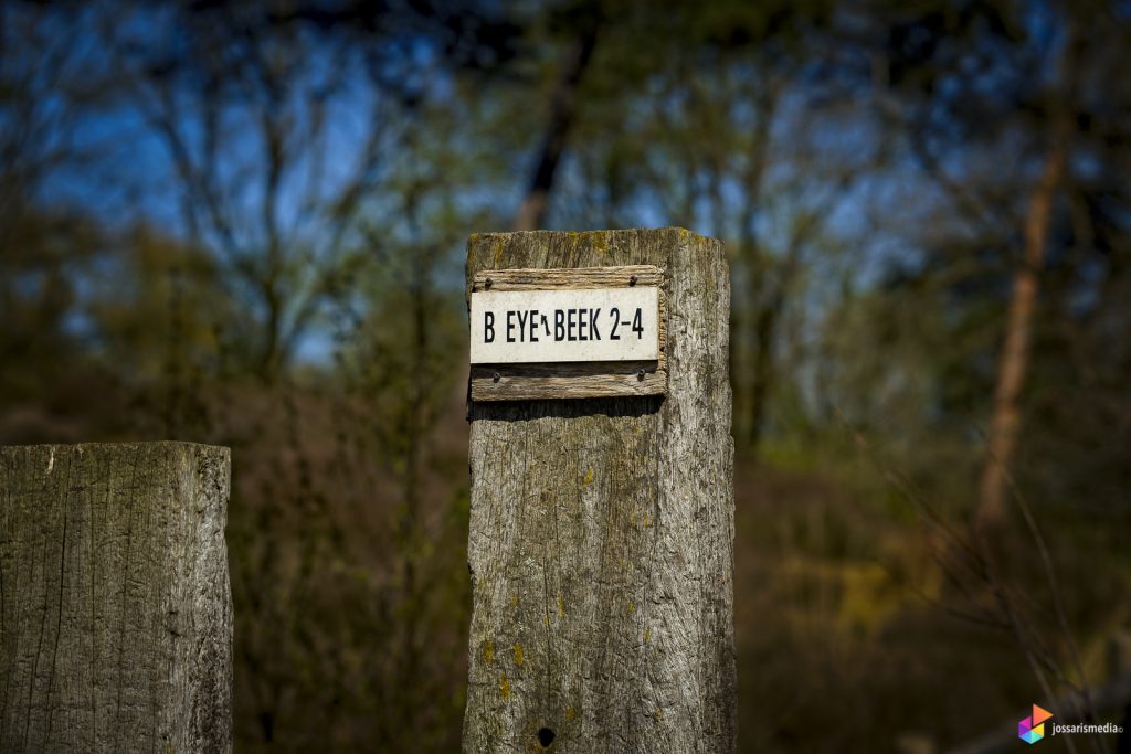 Kasteelruïne Bleijenbeek | Natuurgebied Bleijenbeek