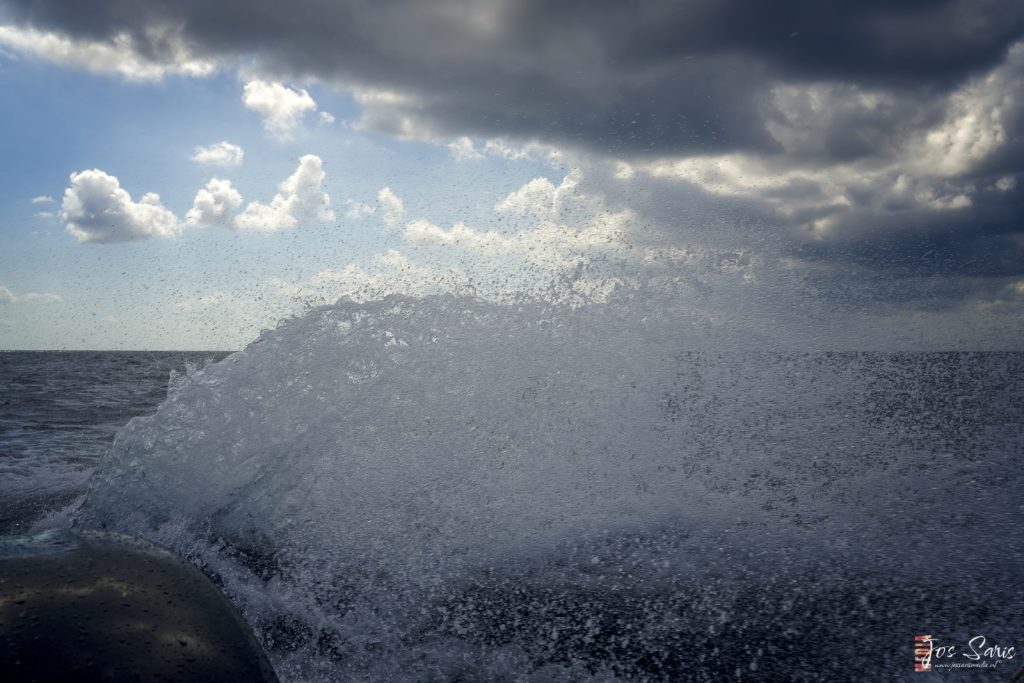 Egadische Eilanden | De power van een RIB boot