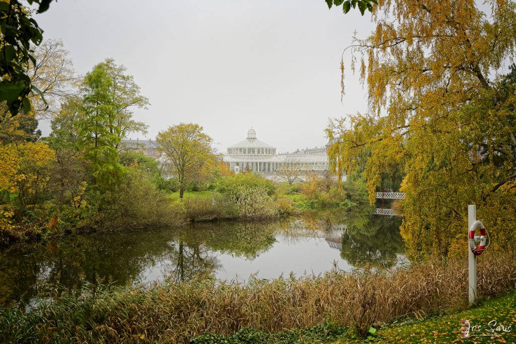 Kopenhagen | Botanische tuin