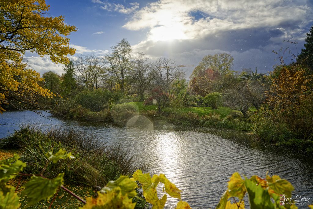 Kopenhagen | Botanische tuin 