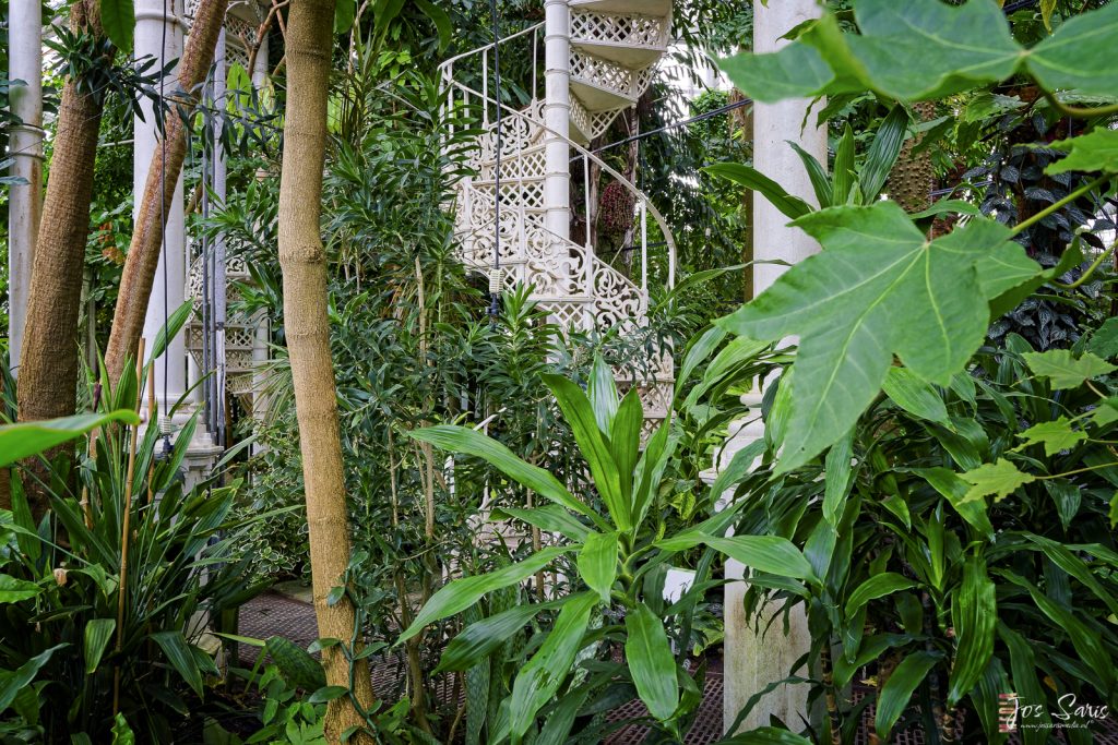 Kopenhagen | Botanisk Have met het Palmenhuis