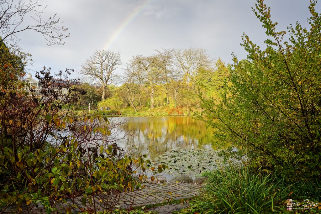 Kopenhagen | Botanisk Have met regenboog