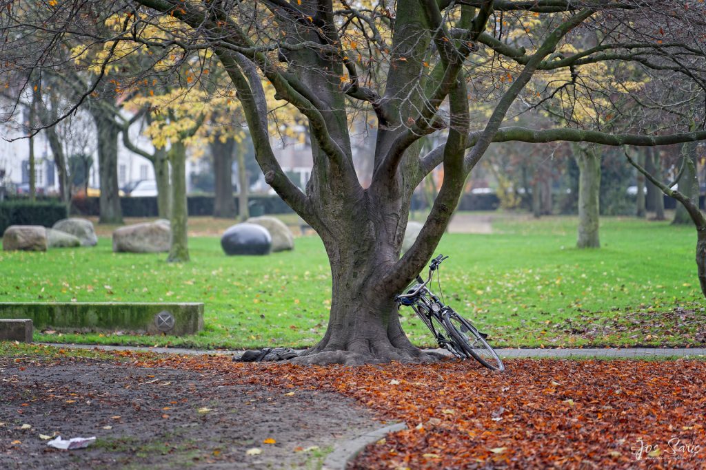 Venlo | Julianapark