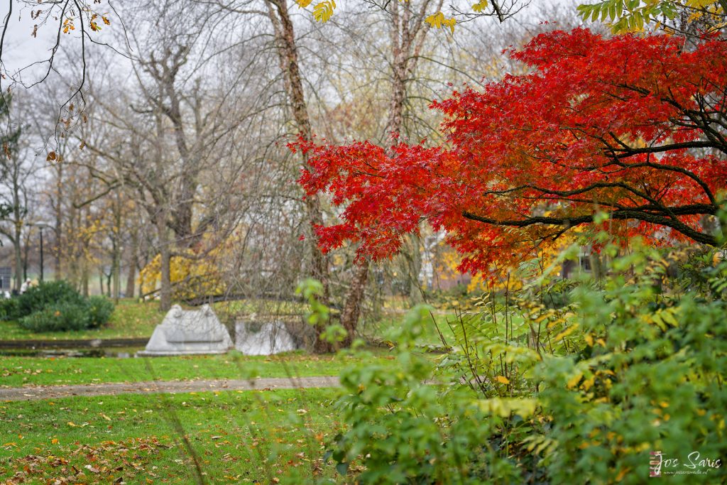 Venlo | Wilhelminapark