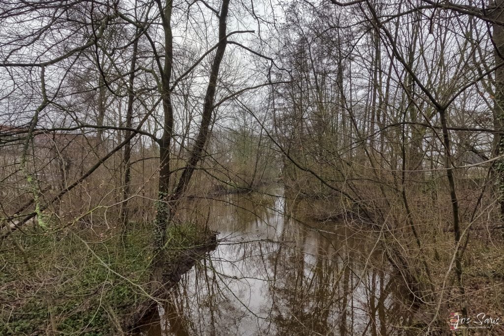 Venlo | Burgemeester Bergerpark