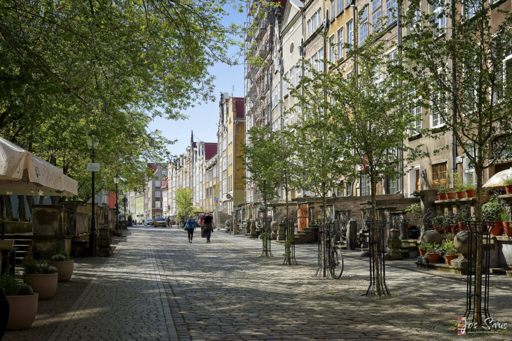 a group of people walking on a cobblestone street with trees