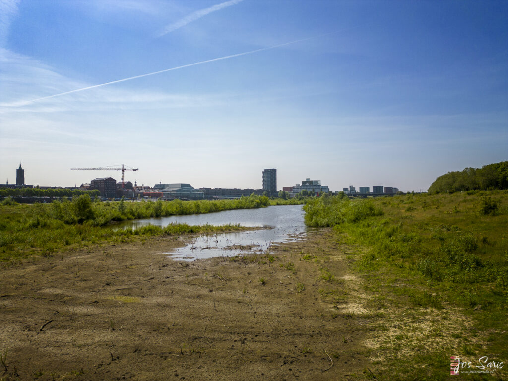 a river running through a grassy area