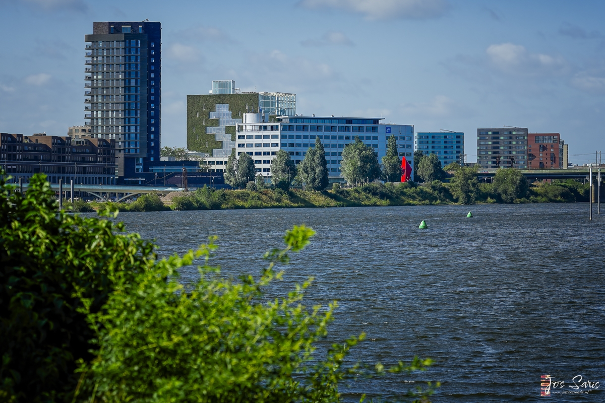 a body of water with buildings and trees