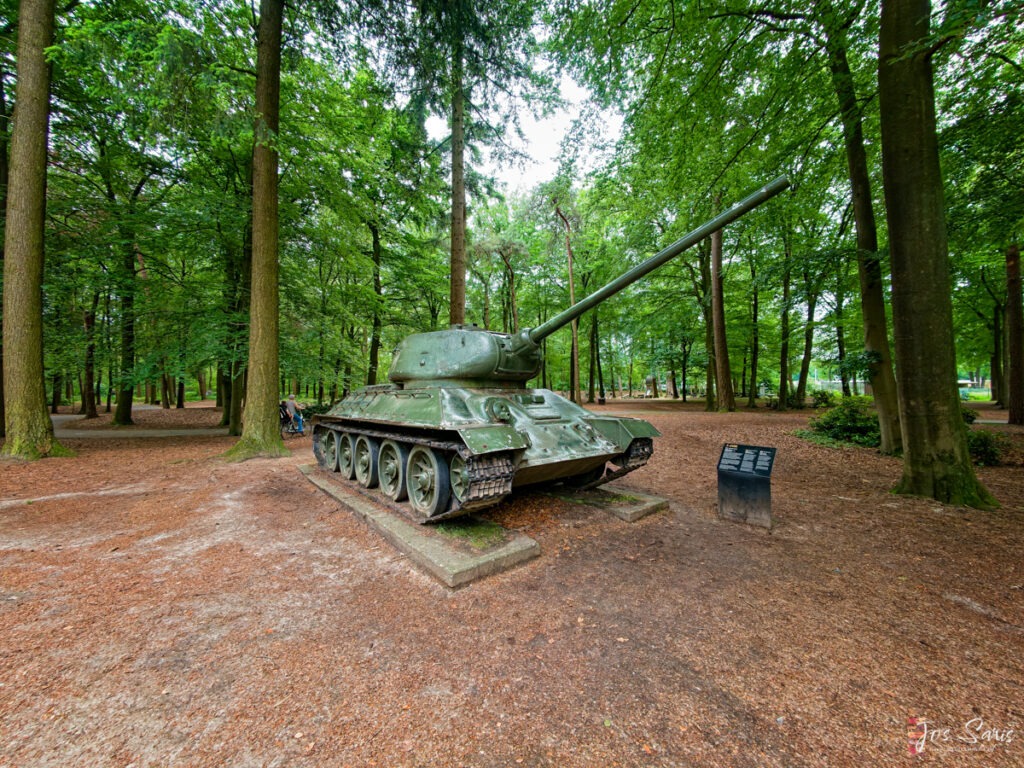 a tank in a forest