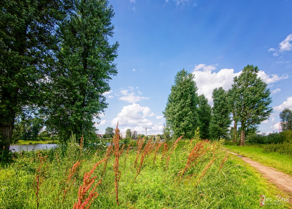 De Oude Beemden in Venlo met zicht op Blerick.