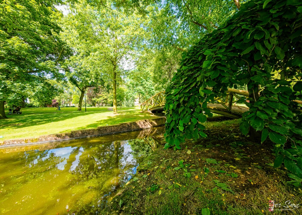 Vijver in het Wilhelminapark van Venlo.