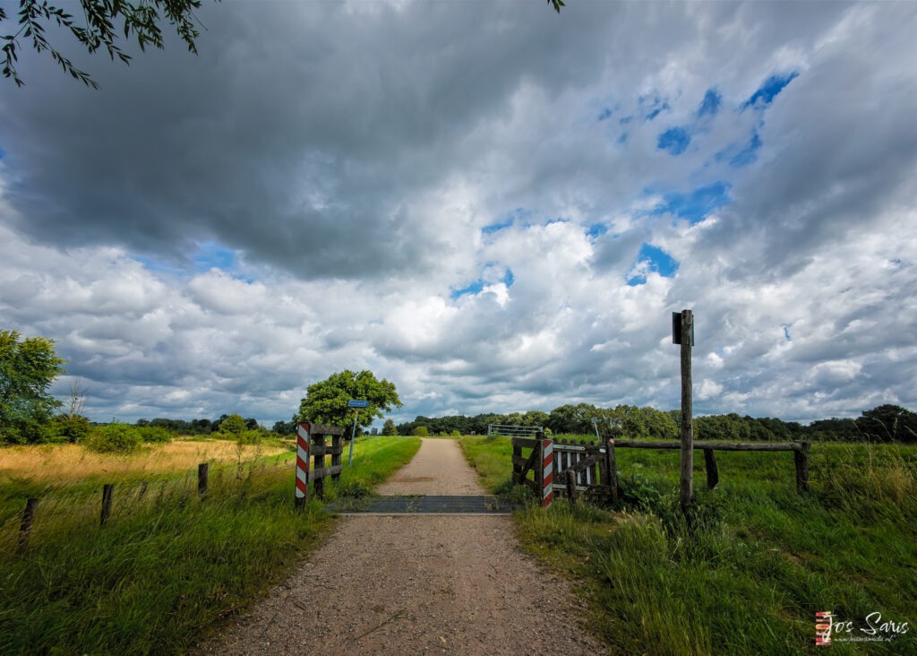 a dirt road leading to a field
