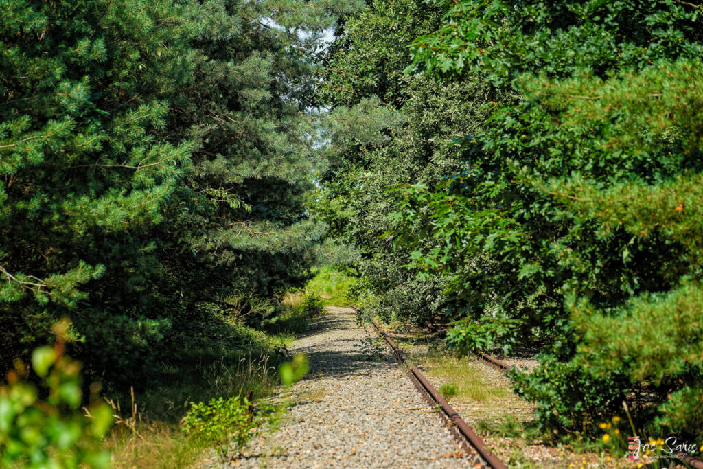 Begroeide en onderkomen rails van de IJzerenrijn