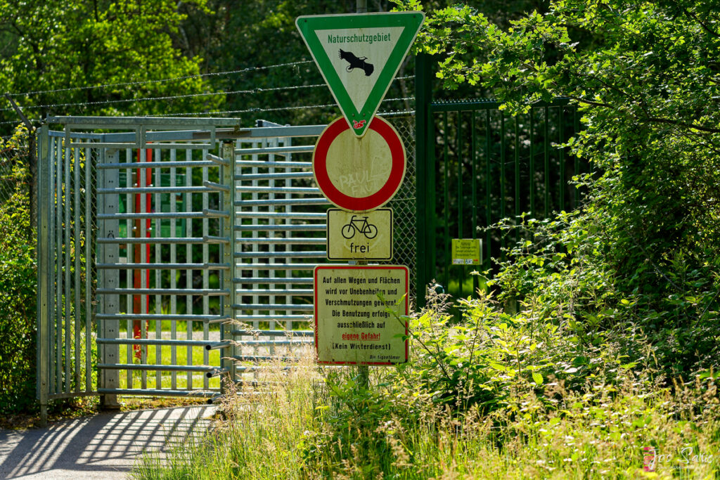 Brachter Wald